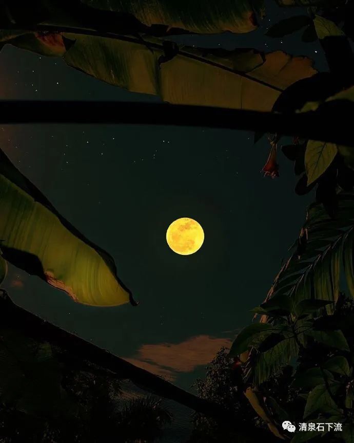 吴亦凡先生的又一个不眠之夜