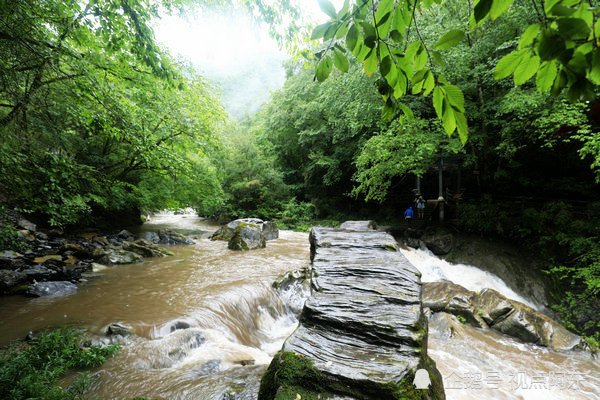 游千层河露营巴山大草原,这个夏天去岚皋过神仙日子