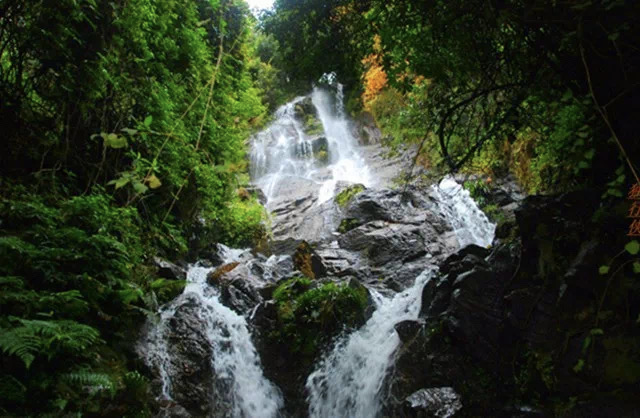 永德大雪山风景区——五老山森林公园——双江冰岛湖风景区