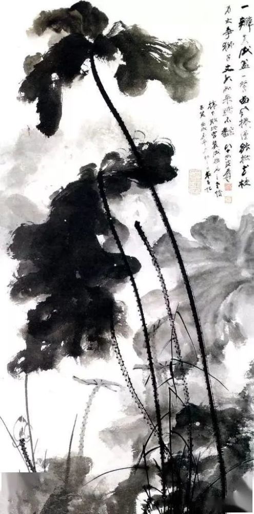 夏日炎炎,看了张大千画的荷花,清爽感从内到外!