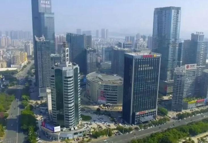 2020仲恺高新区gdp(2)