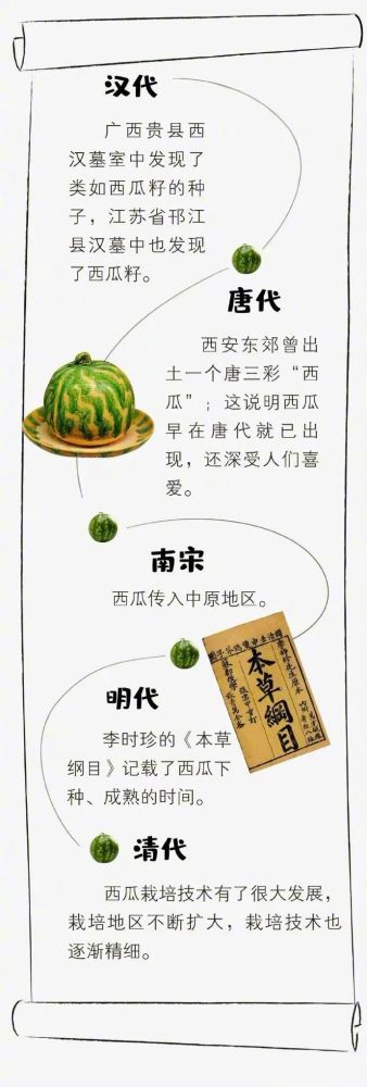隔夜冰西瓜一口吃下8400个细菌你知道吃瓜的正确姿势吗