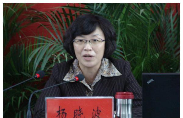 被捕时哭诉恐惧监狱,2014年山西女贪官杨晓波案剖析|杨晓波|山西|高平