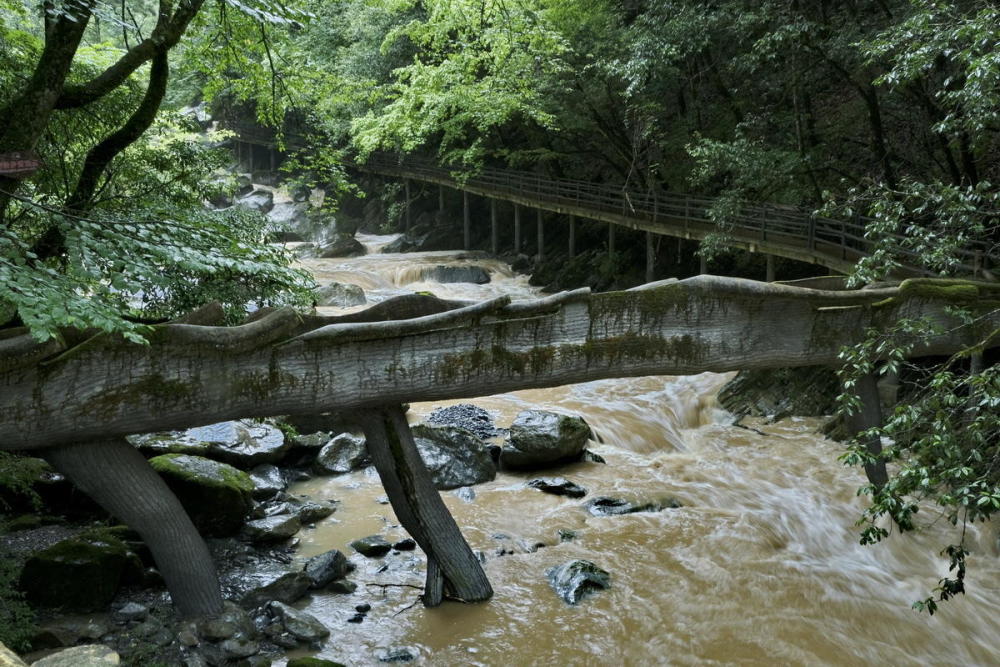 岚皋千层河遇大雨赋【严建设】