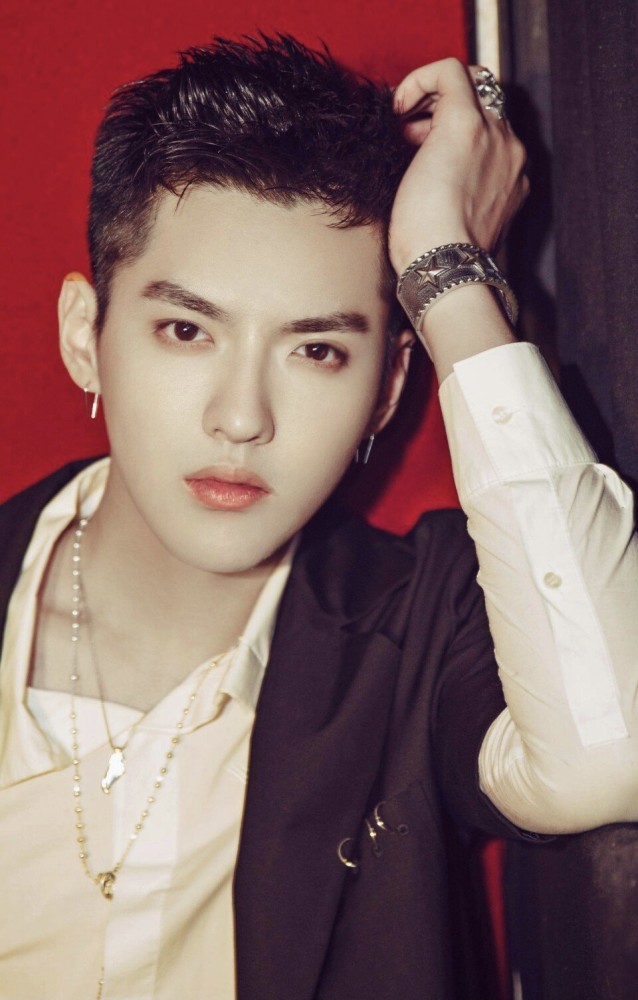 再见啦,曾经那么那么美好的kris wu