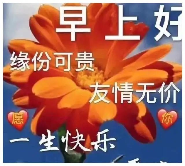 早上好朋友,新版最美早安问候图片带字,最新版早上好