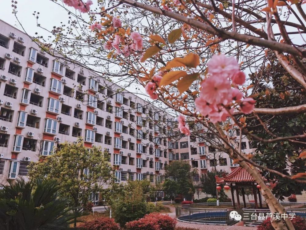 三台县芦溪中学关于组建2021级临时班级群的温馨提示