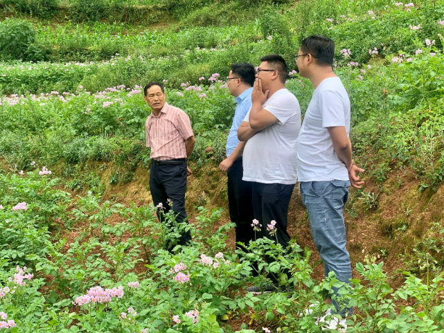 卢兴明到内东乡调研督导河道环境治理工作