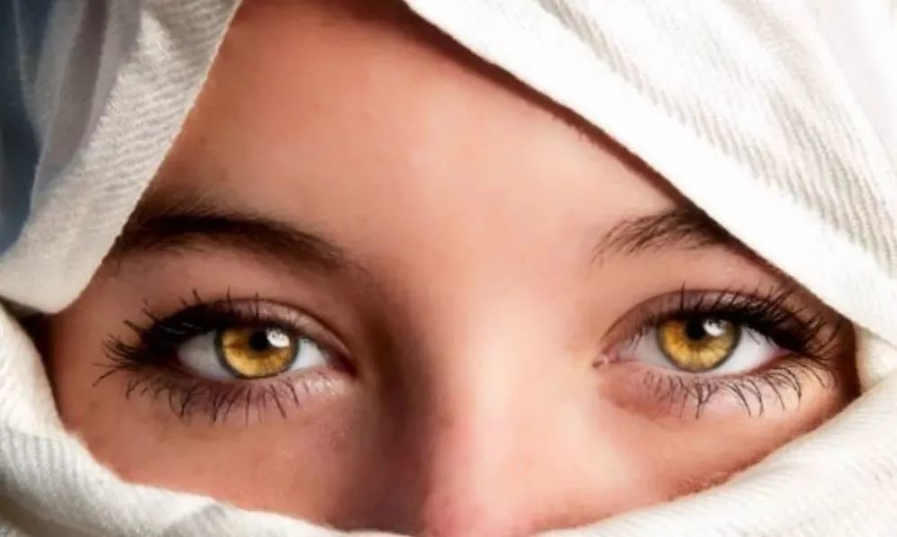 【有益思】为什么人的眼睛有不同颜色?