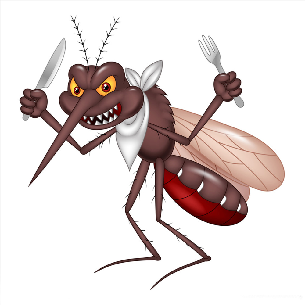 蚊子:三分天下的吸血狂魔,蚊子为何总叮你?又该如何正确防蚊?