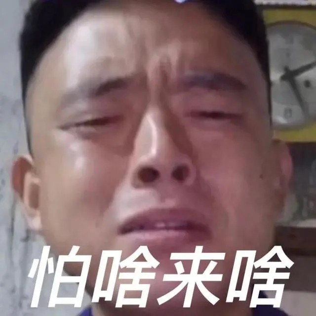 铁山靠安妮表情包|窝嫩叠,反弹
