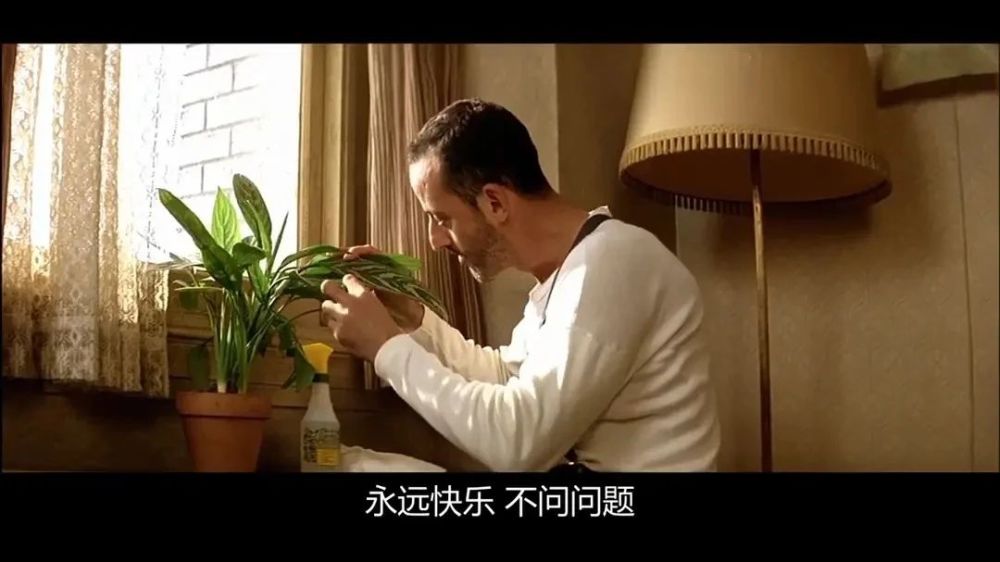 永远快乐不成问题《这个杀手不太冷》以上就是我为大家带来的电影