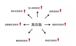 高血脂的危害,你不了解一下吗?