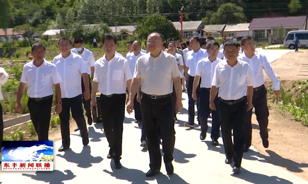 全市统筹推进乡村旅游发展和农村人居环境整治现场会观摩活动走进我县