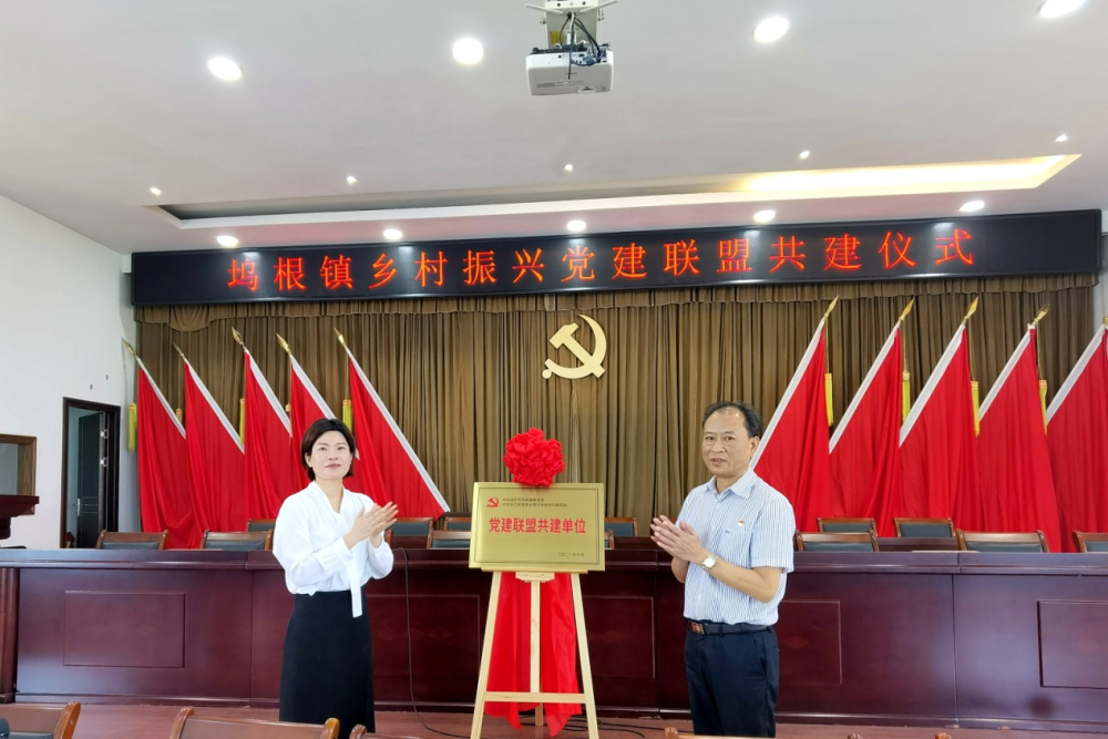 民泰银行:深耕党建 红色沃土上的乡村振兴之路