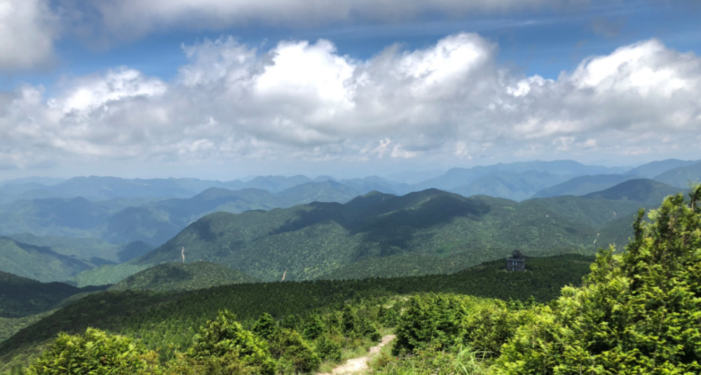 近年来,丽水市以百山祖国家公园创建为载体,在全国率先开展集体林地