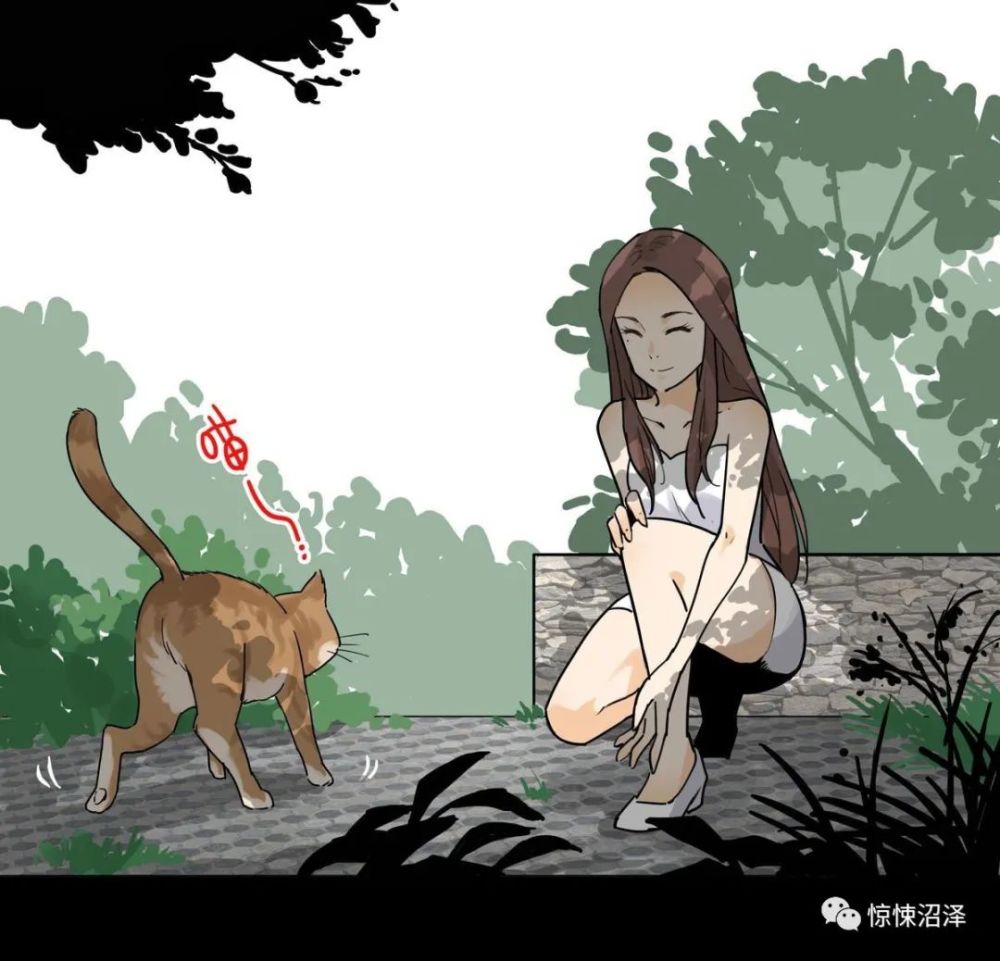 人性惊悚漫画拼尽全力保护女主人的流浪猫猫