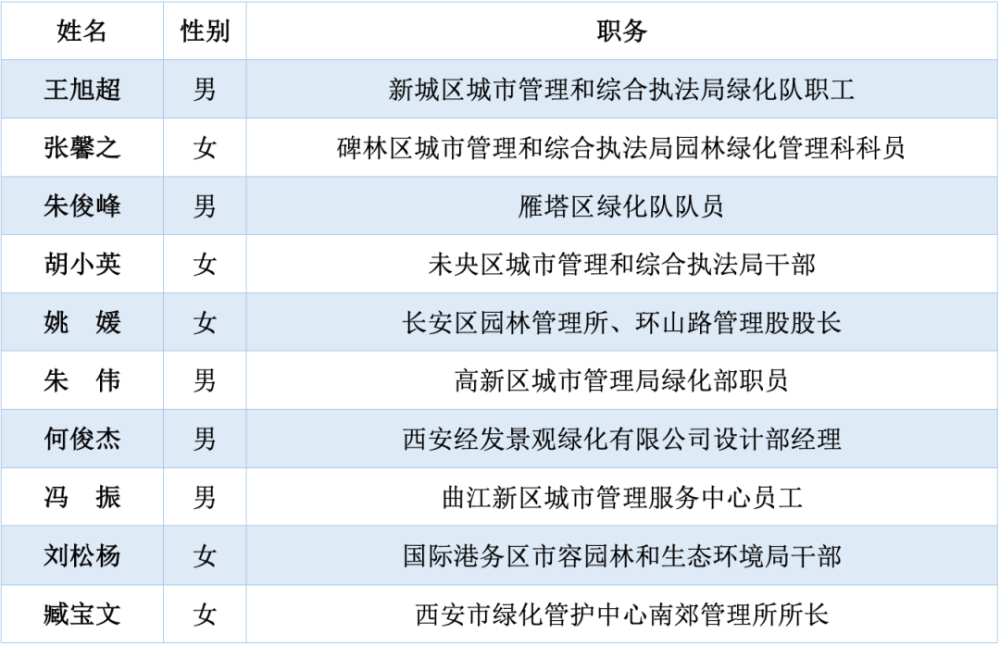 城管排名_城管等级排名臂章图片(3)