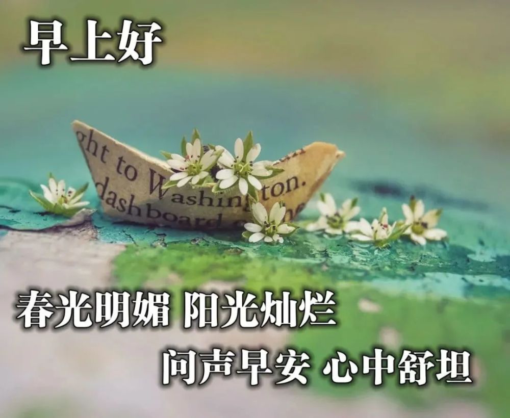 清晨早上好暖心问候祝福语句,最新早安问候语图片表情