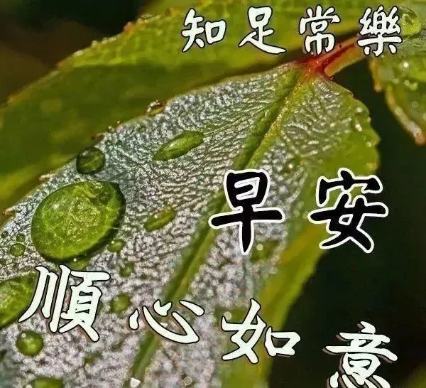 非常漂亮早上好问候动画表情包冬天早安问候祝福图片带字温馨