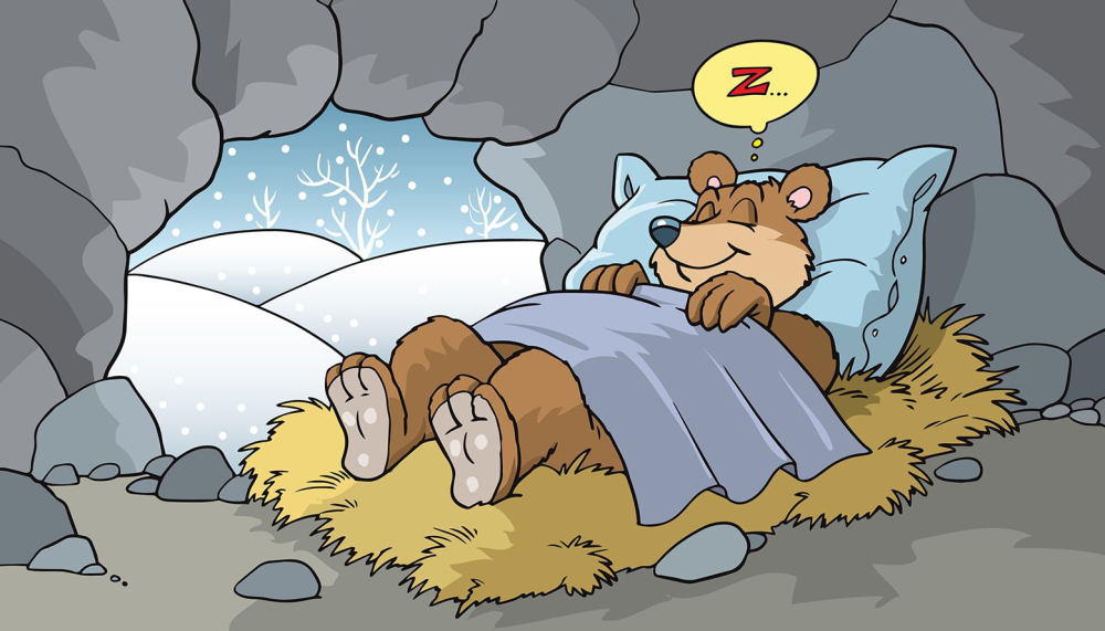 熊冬眠的时候会不会被老虎狼群等偷袭在睡梦中被吃掉