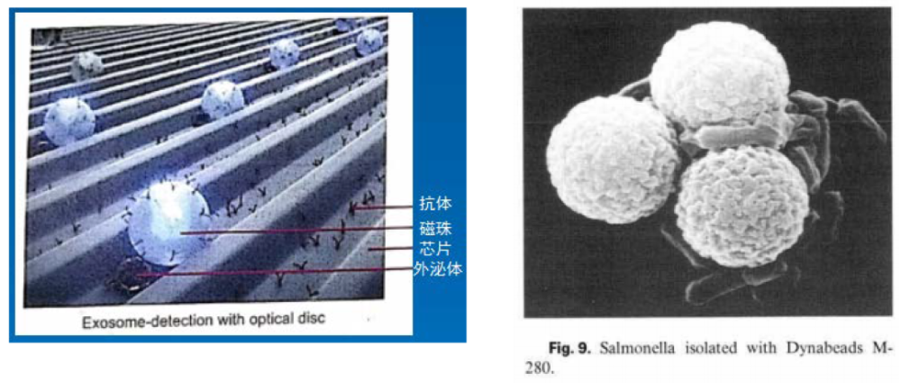 进口占比超90,应用广泛的生物磁珠,国产替代进行时