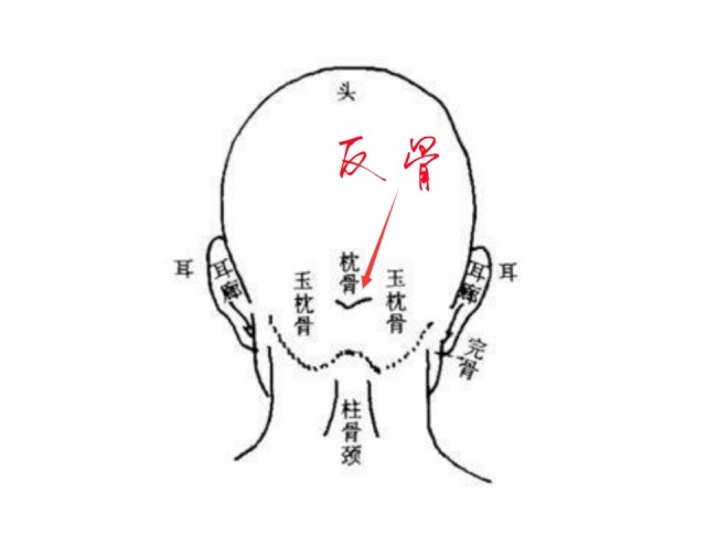 "天生反骨"为古之大忌,反骨什么样?这种人又有什么性格特征?