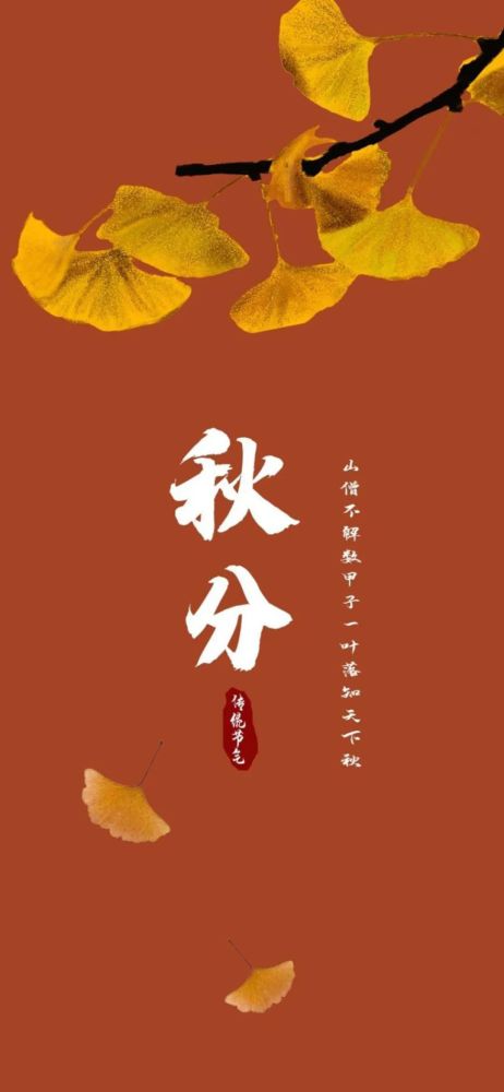 壁纸二十四节气秋分图片手机壁纸