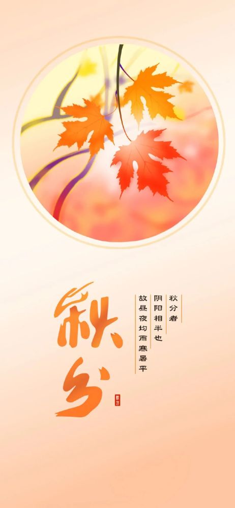 壁纸|二十四节气秋分图片手机壁纸