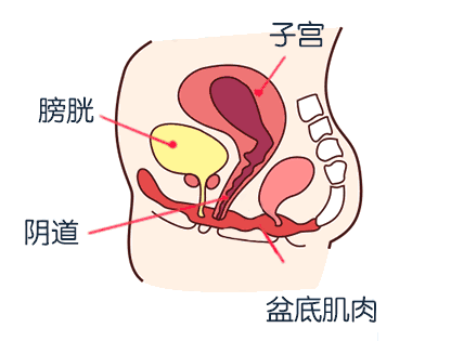 【102健康】盆底肌十大误区!