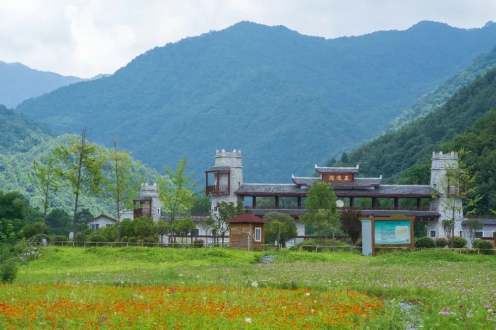 看夏日繁花 更能感受阳光的味道 赏花不用远行 略阳县五龙洞镇就"藏"