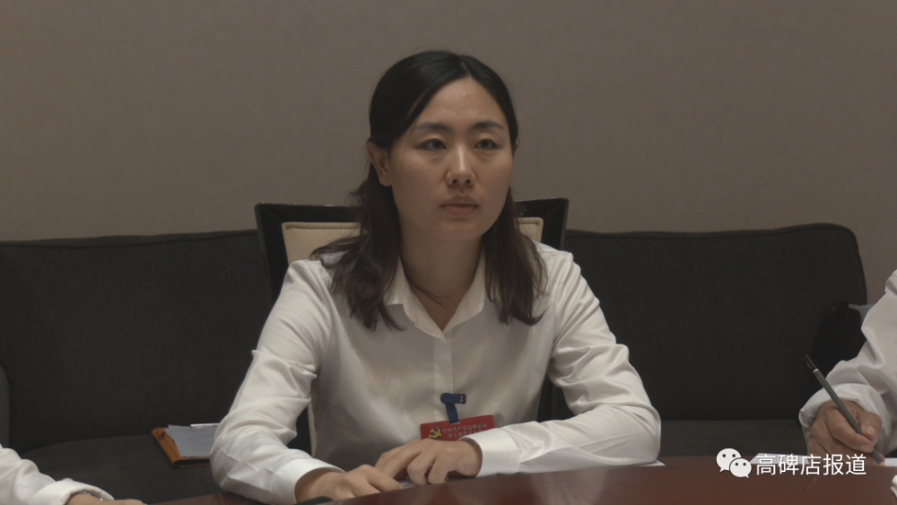 聚焦党代会出席市七次党代会的代表讨论审议报告共话高碑店未来发展