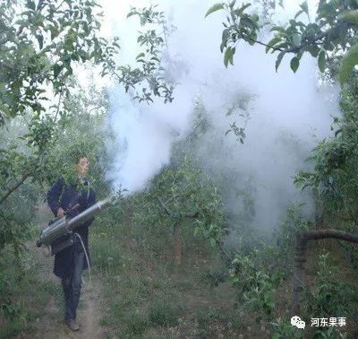 果树打农药是必然之举,其实农药的毒害没有想象中严重