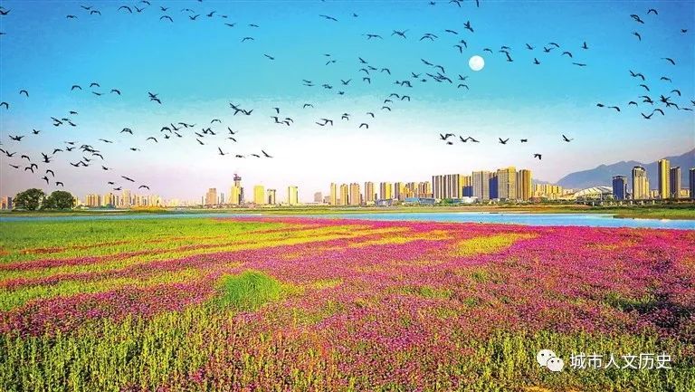 2021年九江gdp