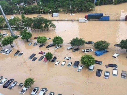 河南暴雨导致车辆报废,保险公司赔不赔?