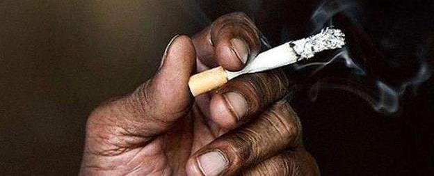 为证实吸烟无害,科学家强迫狗每天吸100支香烟,结局怎样