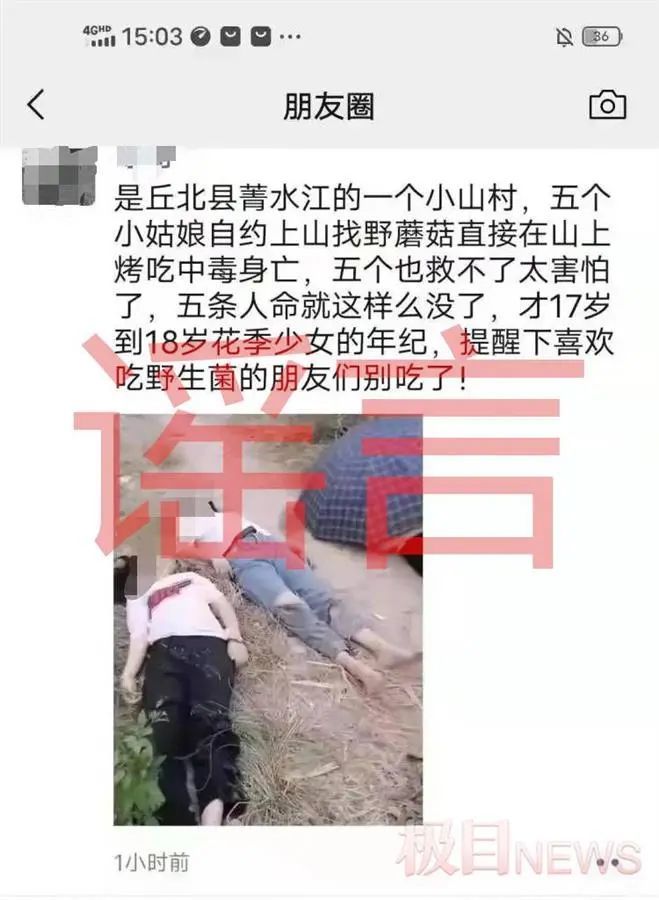 云南5个女孩烤吃野蘑菇中毒身亡?假