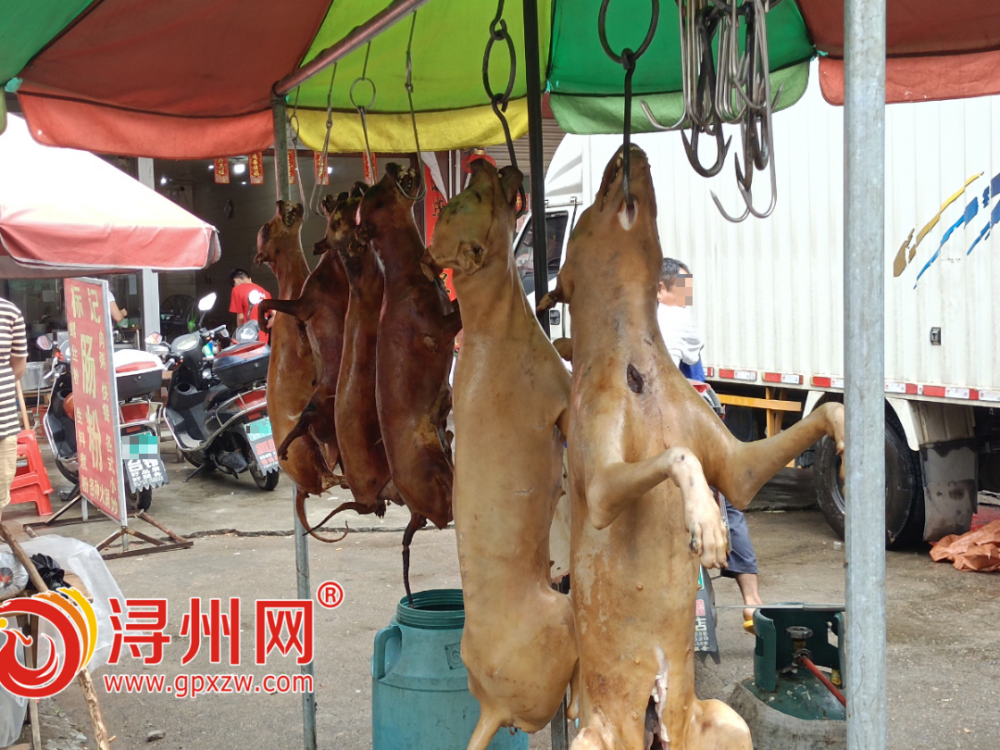 一条条宰杀好的生狗也挂在勾上一大早,市场上的狗肉摊就已经摆起来了