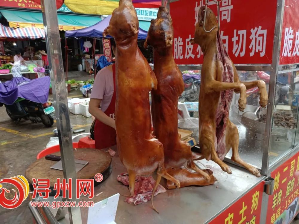 一条条宰杀好的生狗也挂在勾上一大早,市场上的狗肉摊就已经摆起来了