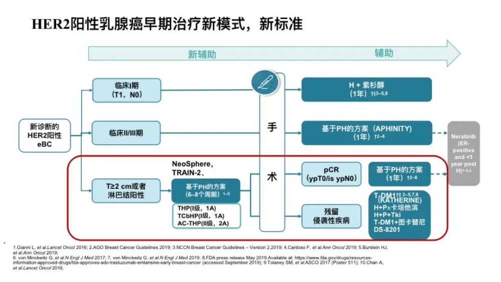 对于her2阳性早期乳腺癌,新辅助治疗改变了治疗的流程,需进行(新)辅助