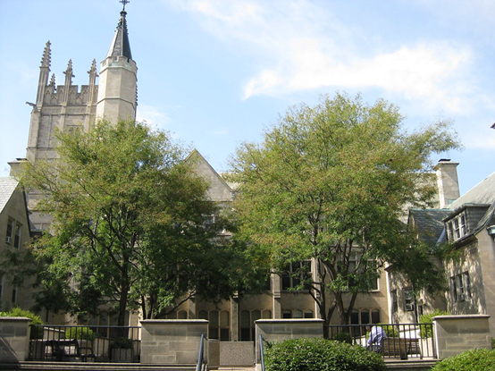 northwestern university