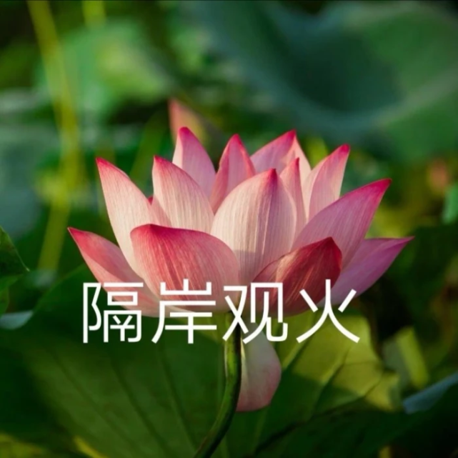 莲花头像|换上他,打入中老年人俱乐部!