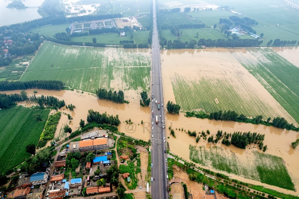 河南暴雨后卫河涨水淹没庄稼树木严阵以待防大汛