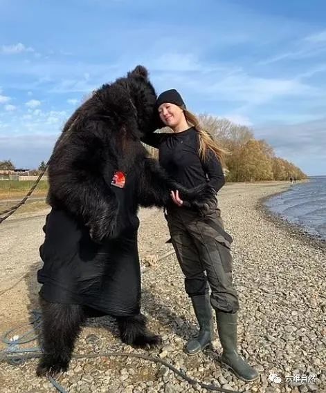 俄罗斯一女子收养一头棕熊,将其变为宠物,带着它一起活动