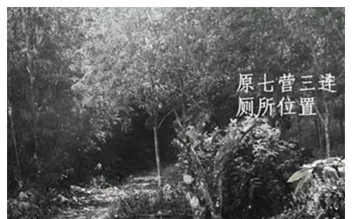 上海知青朱梅华,雨夜离奇失踪,至今仍是悬案,每个人却