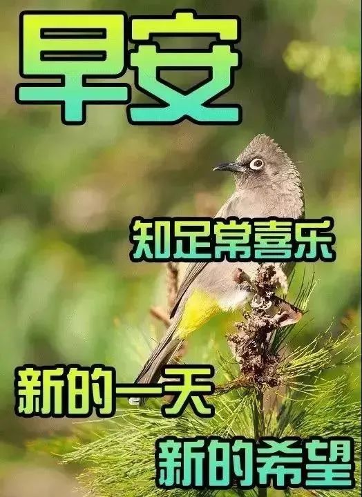 早上好祝福早安的图片带字 早安问候语可爱的表情包图片