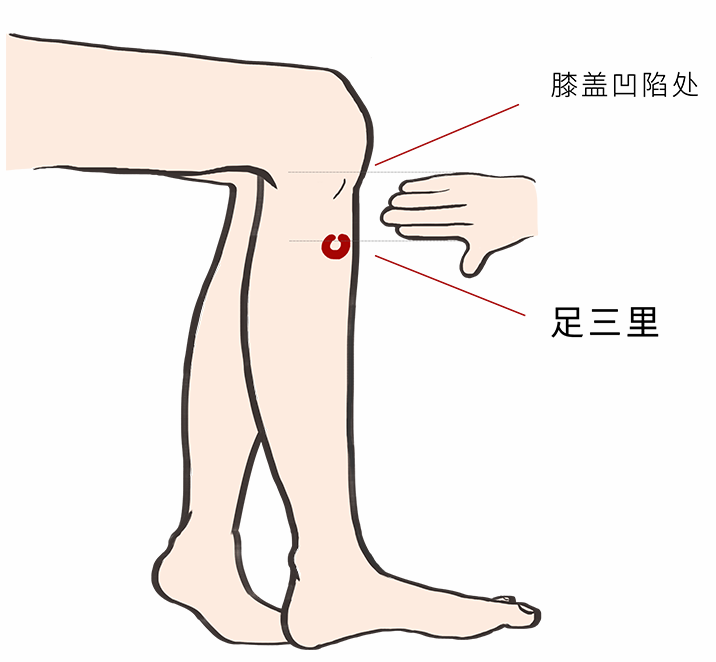 丰隆穴:有祛湿的作用,能一下子涤清全身废弃的湿气.