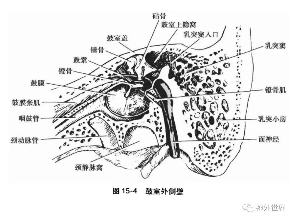 后方经岩骨入路-乙状窦前入路——显微,内镜解剖专栏