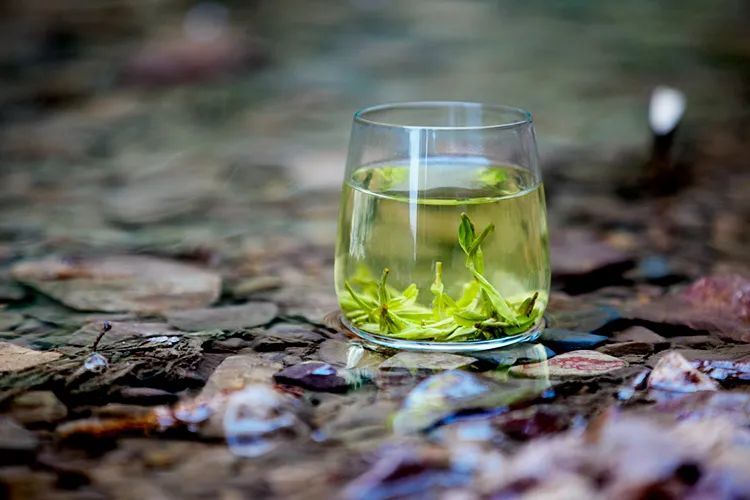 六朝古都雨花茶批发定制