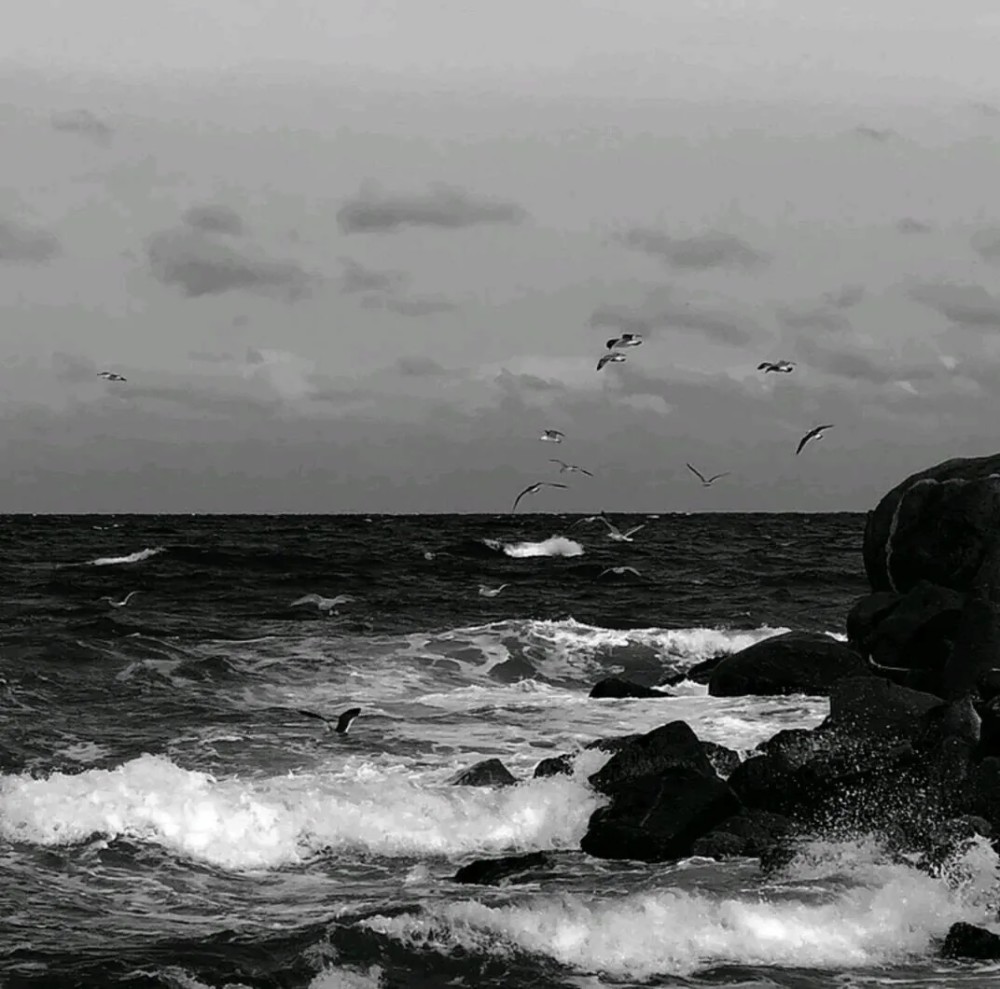 黑白孤独系大海背景图